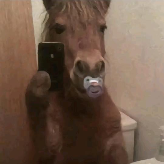 我会假装玩sm然后被你真的打死