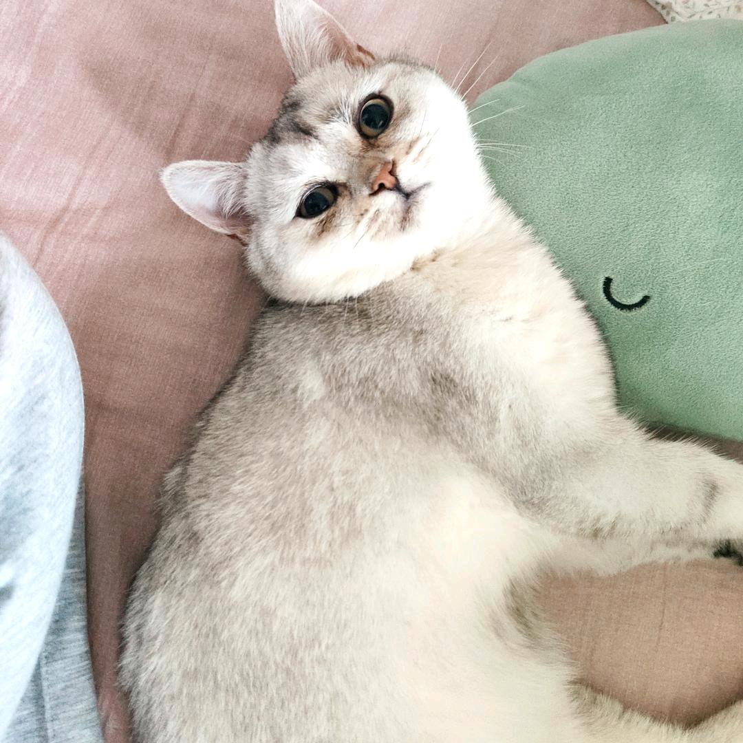 大兔牙漏风     💕