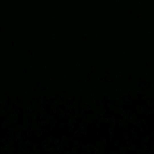 平安喜乐一家人