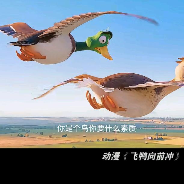 蚕儿上山了