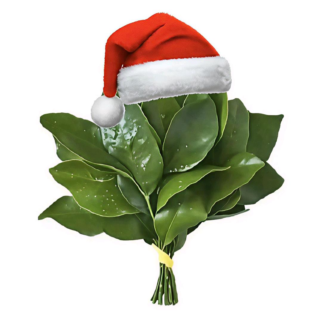 上班都上出尸斑了