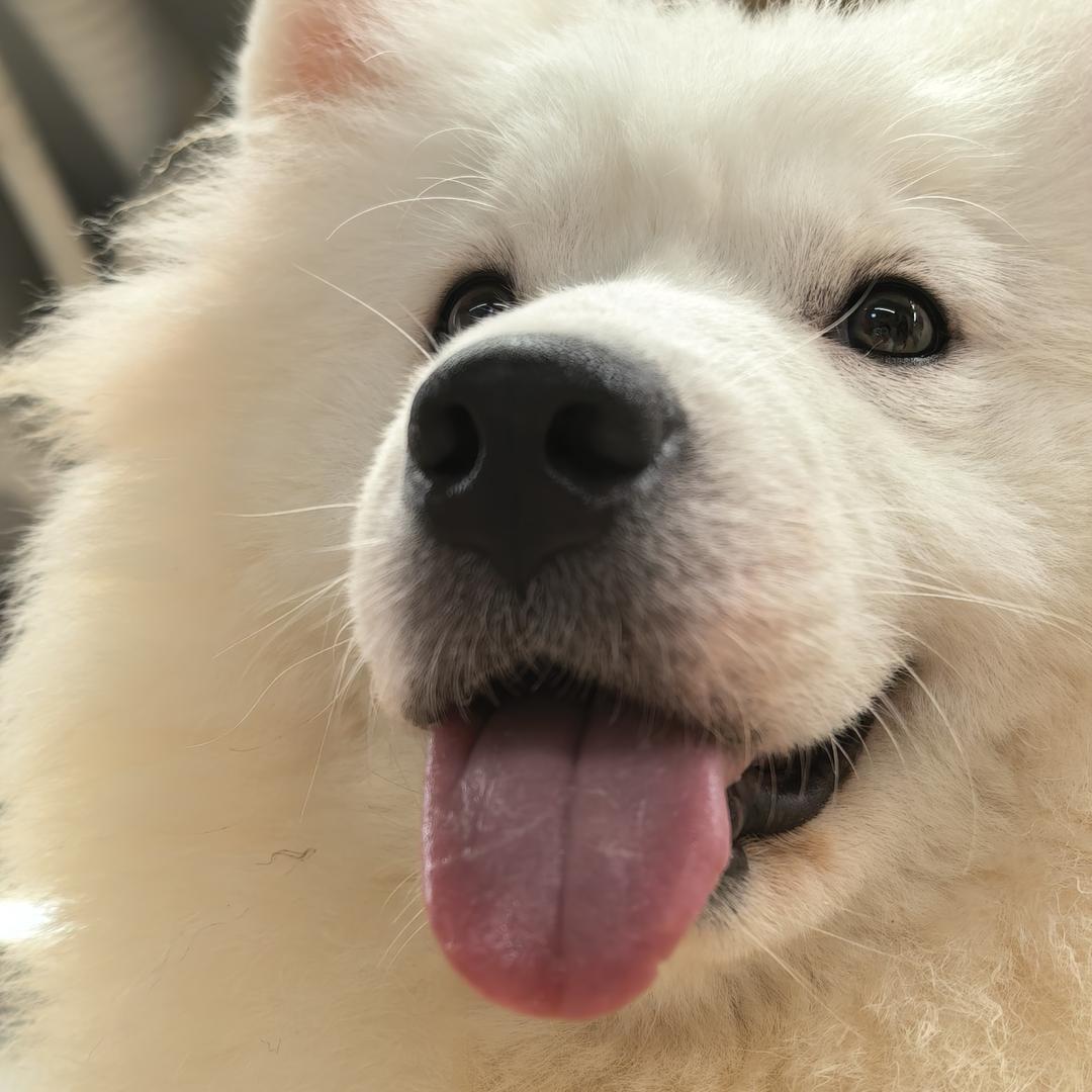 昼昼寻
