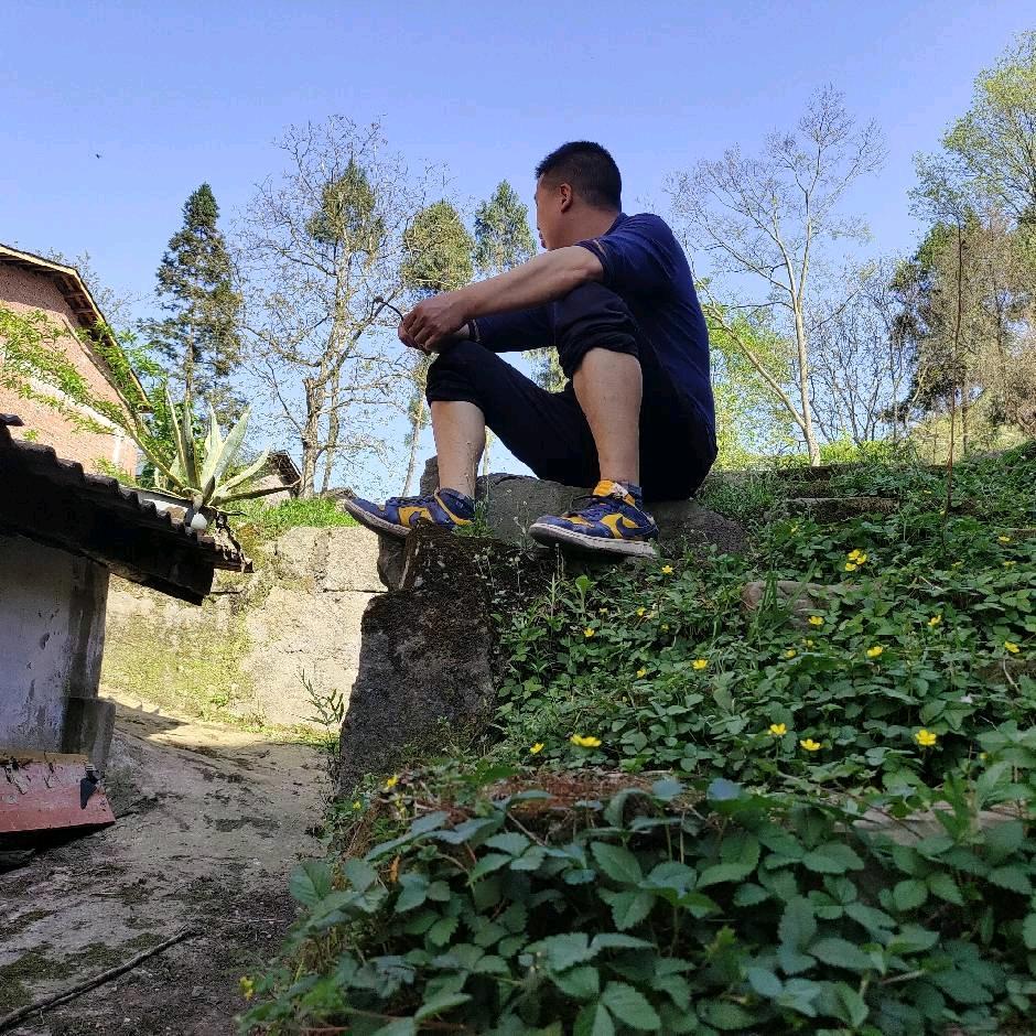 宣汉土鸡土鸭