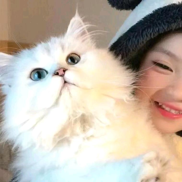 一颗花生