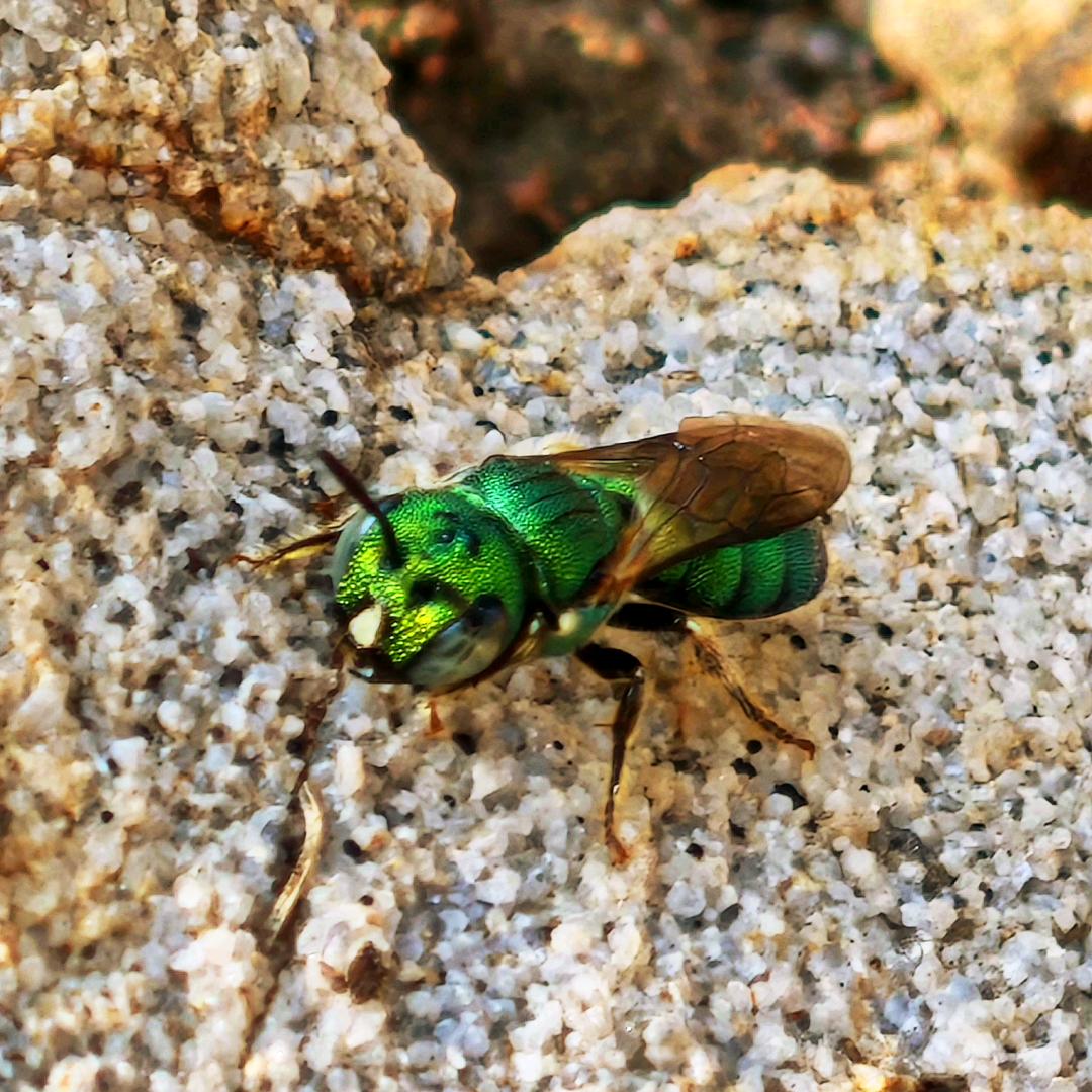 曾经若许闲乘月