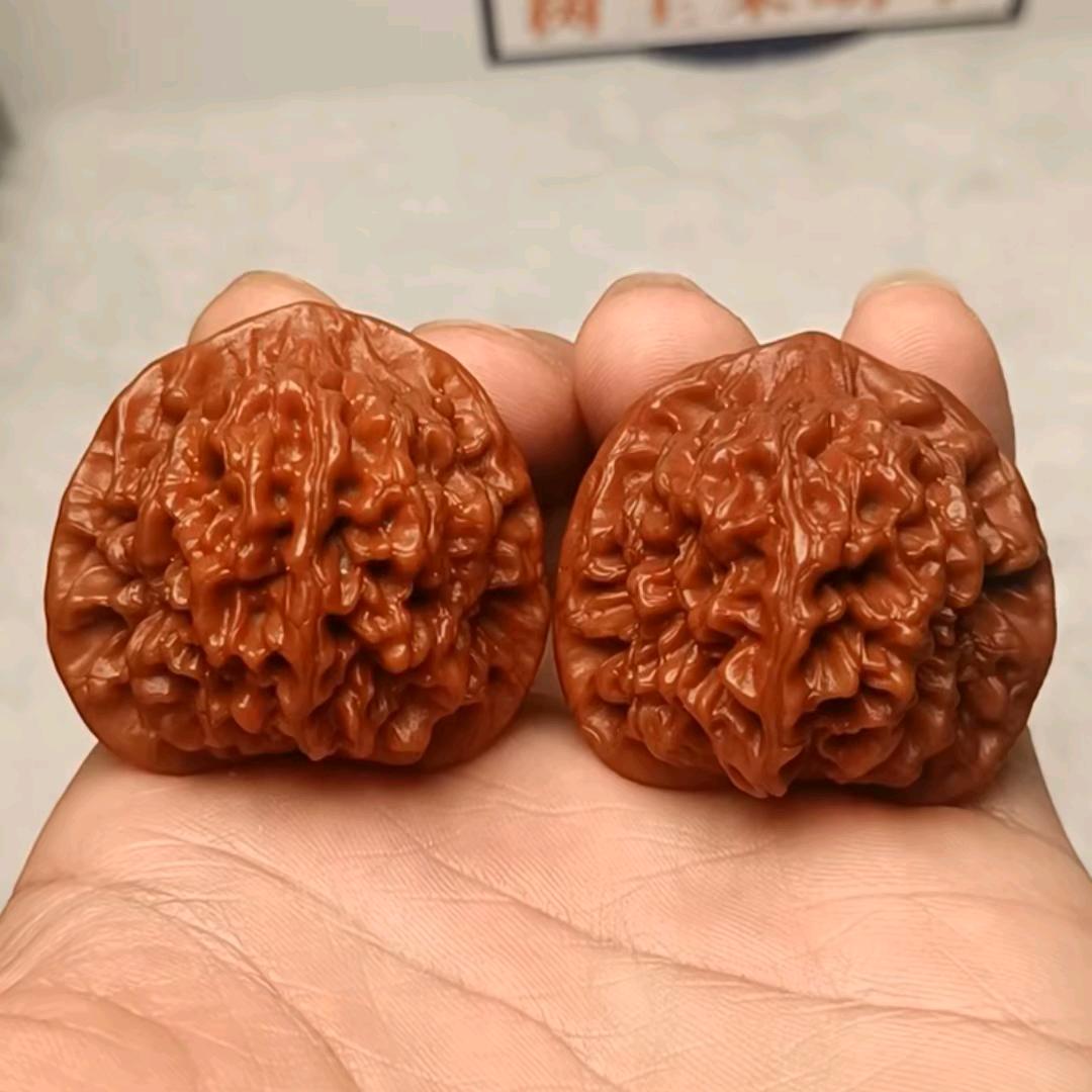 鸿博核桃