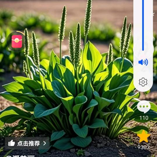 雲端漫步