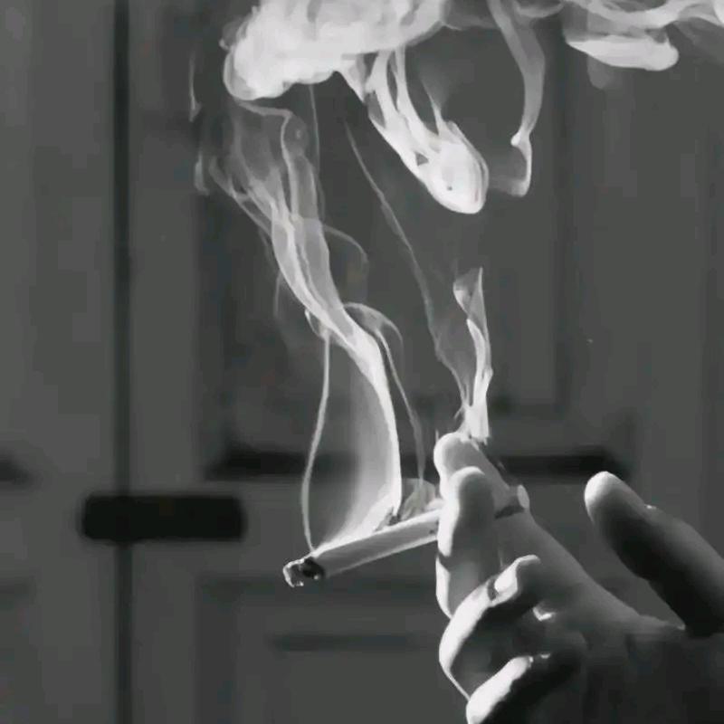 高笨