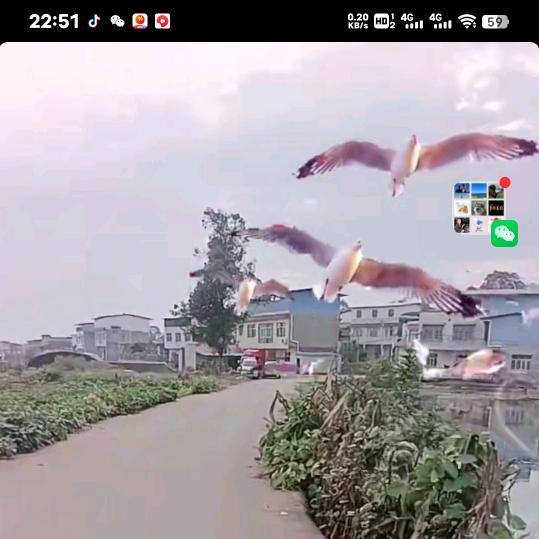 开心
