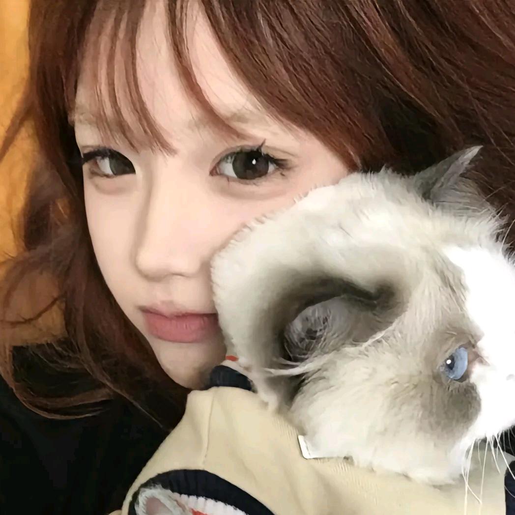 武汉市湿冼信息咨询有限公司.