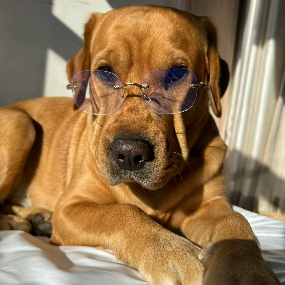 不加鸡酱的麦辣鸡腿堡