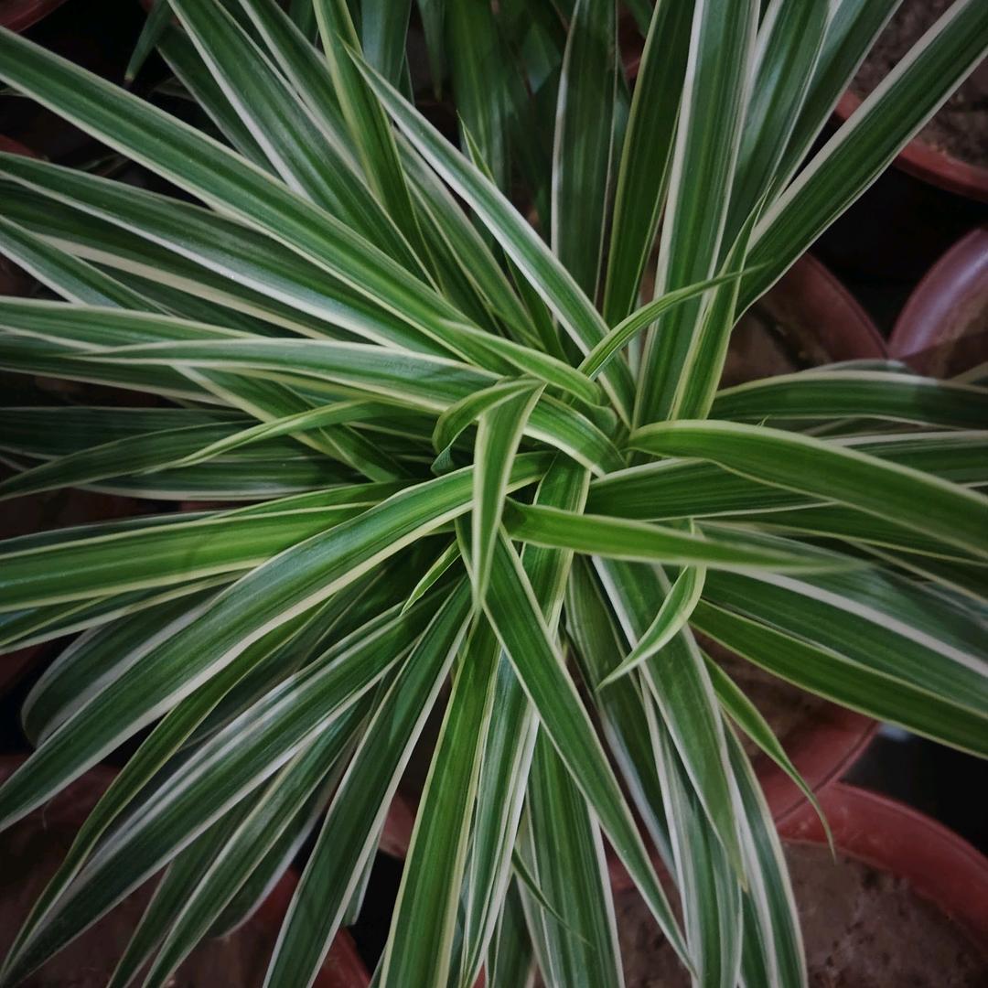 ？？？？？？？？