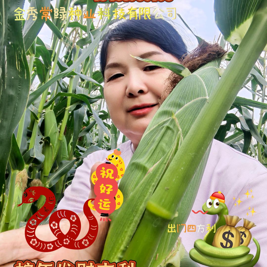 金秀常绿种业科技有限公司