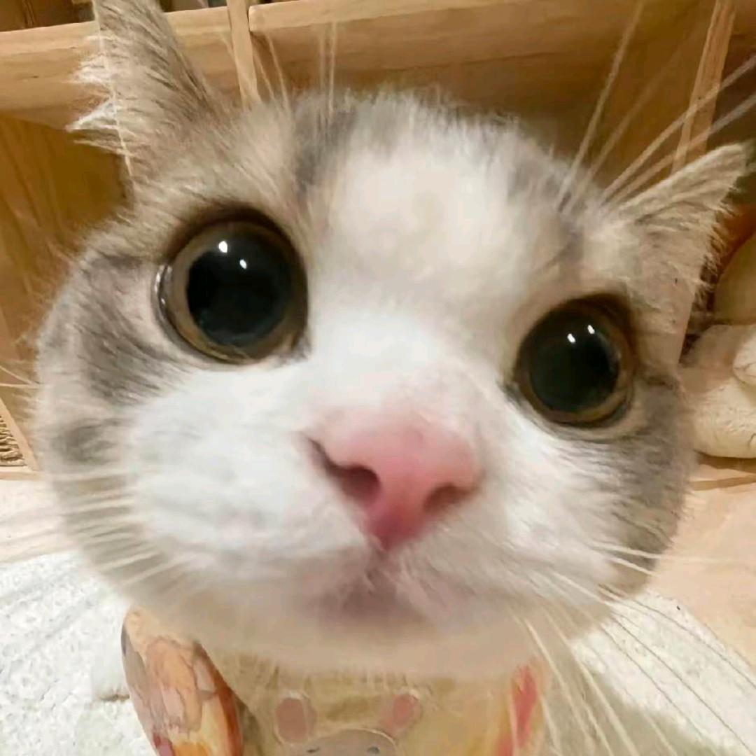记得