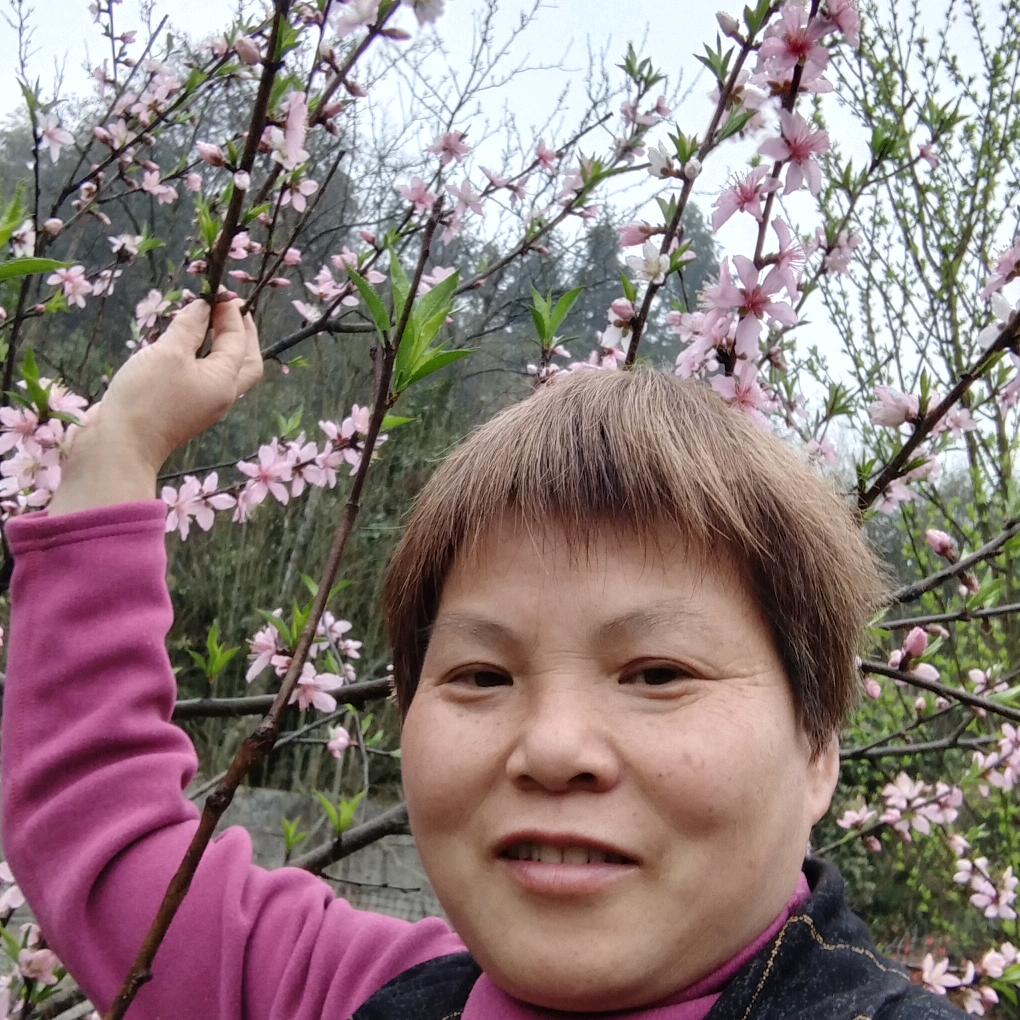 路路发