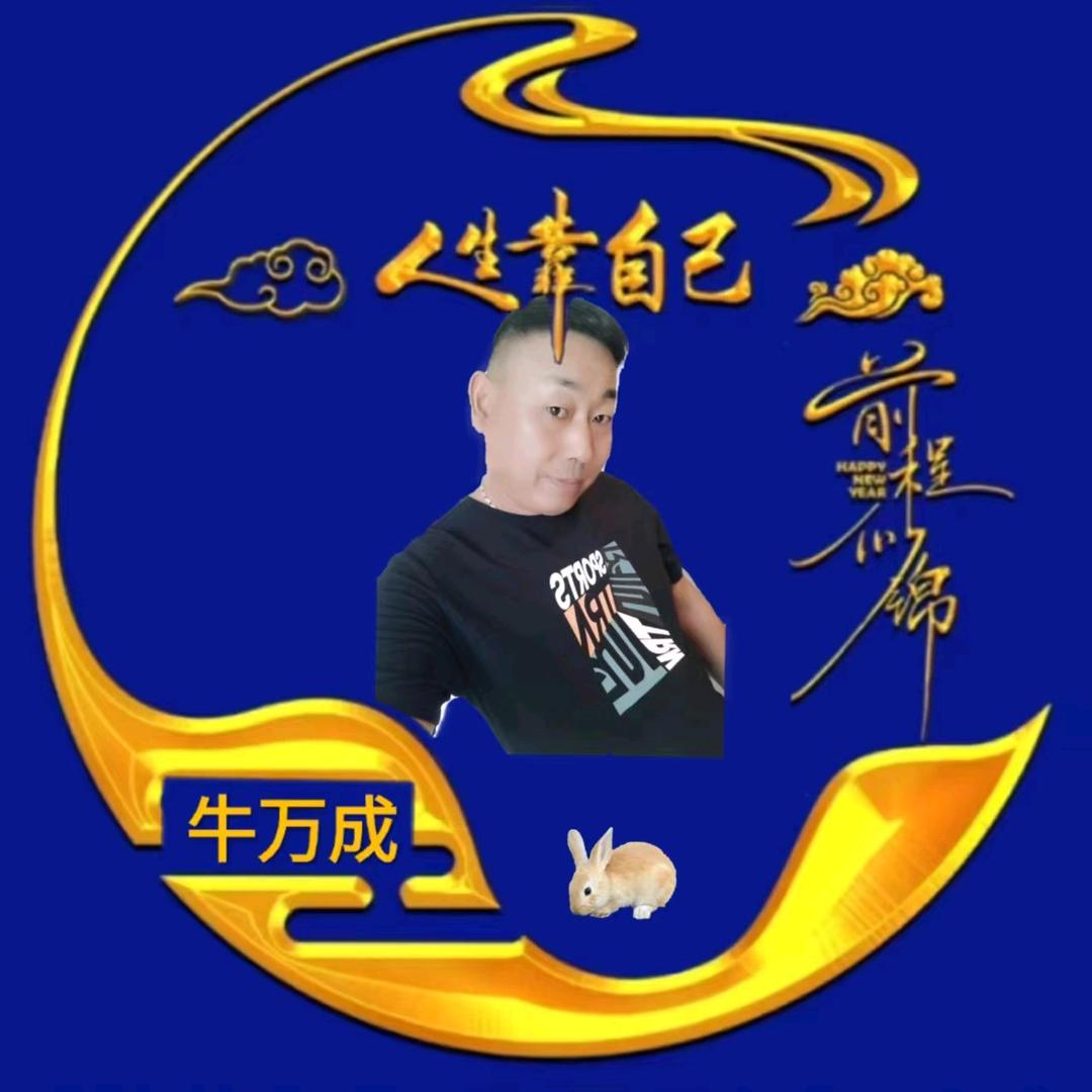 牛哥