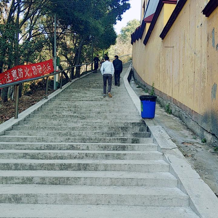 重生归来