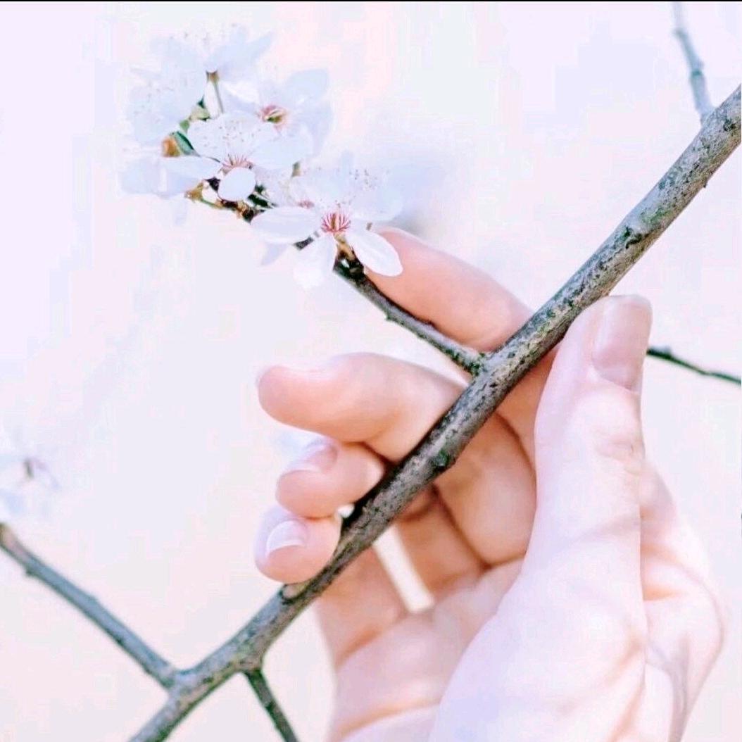 এ᭄我姓ꦿ꯭༊高ꦿ꯭