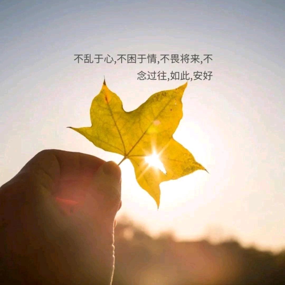 在水一方✨