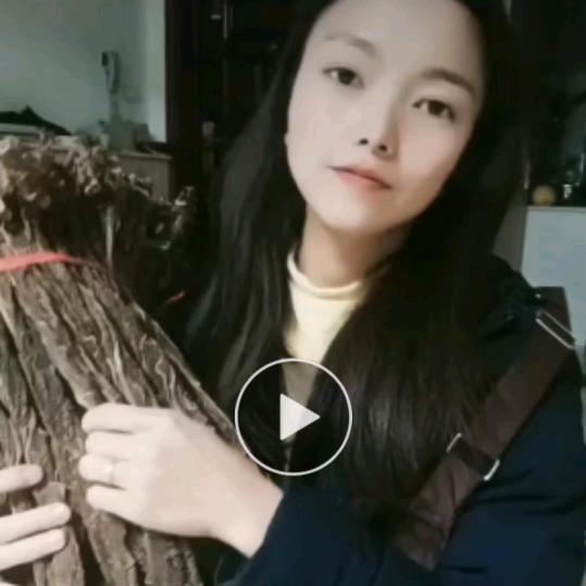 班竹叶子