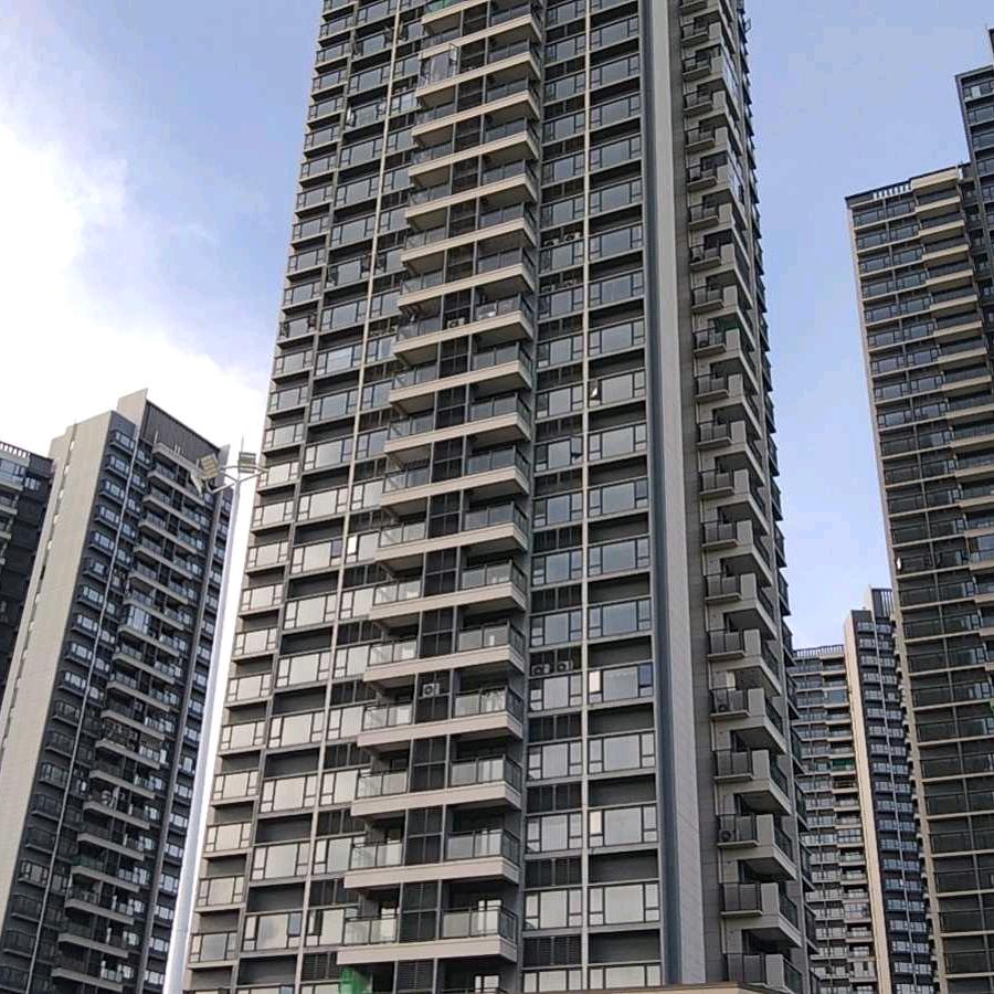 专业冲筋拖石膏（老戴））
