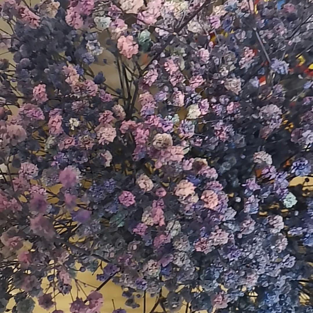 梵登