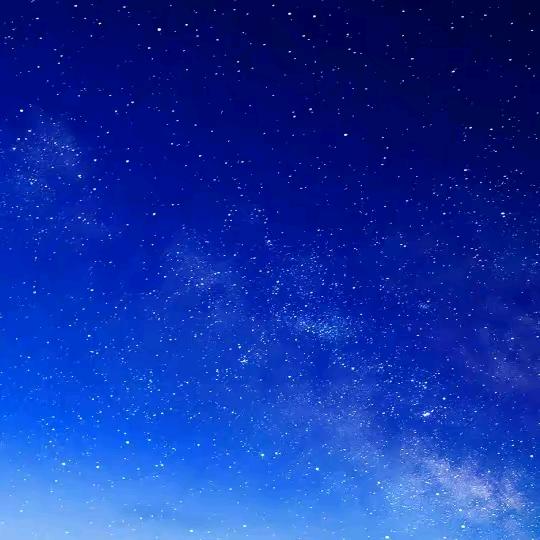 会唱歌的鱼