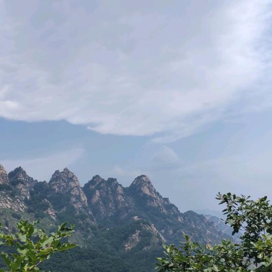 碎碎念