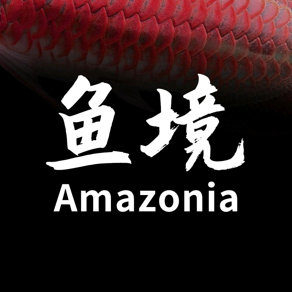 小鱼境水族