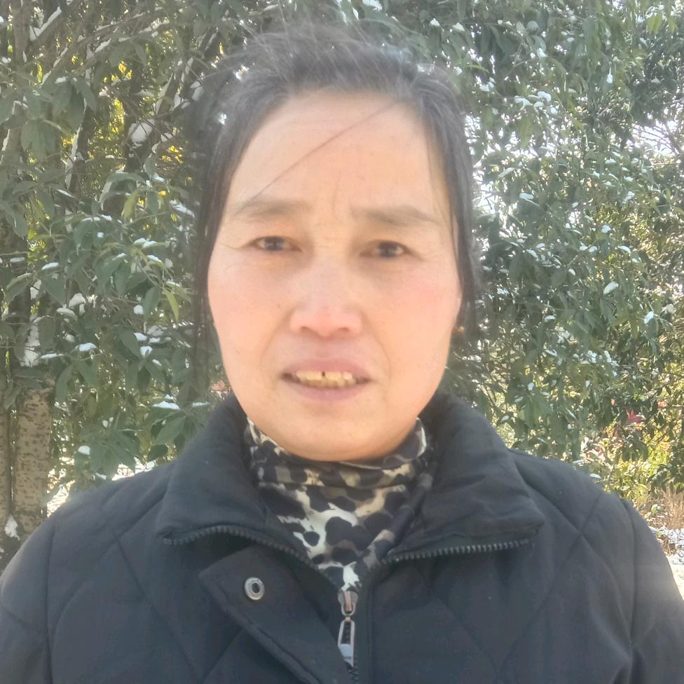 盖伦