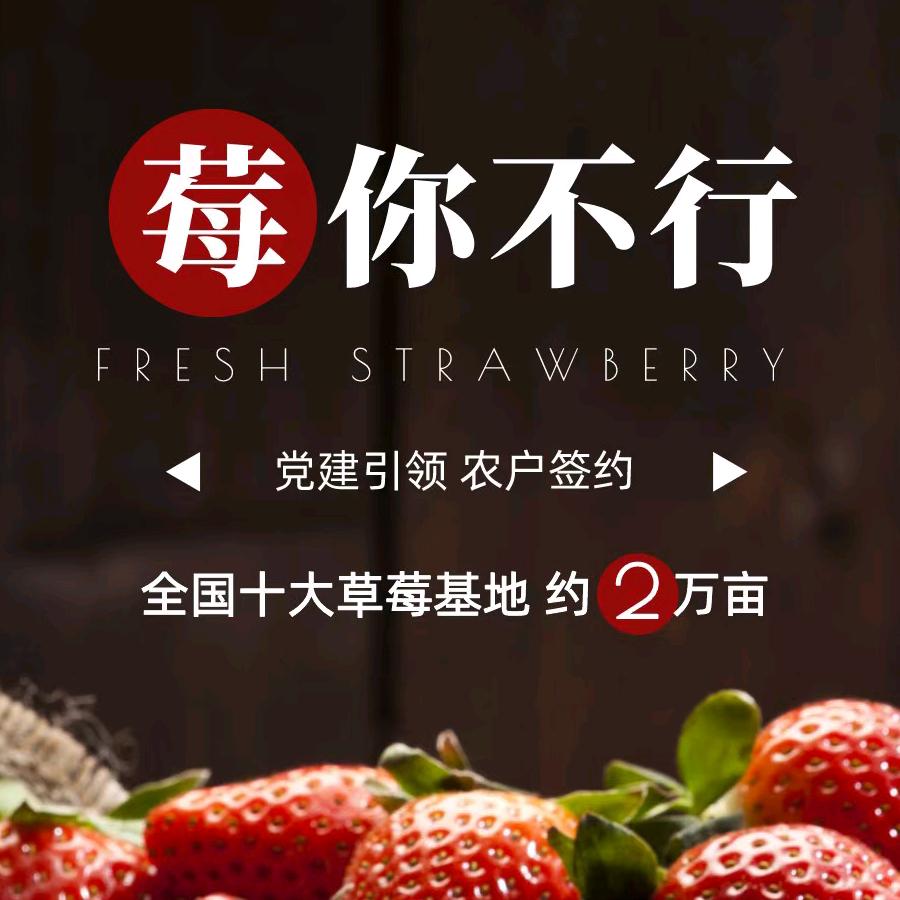 小宋农产品销售