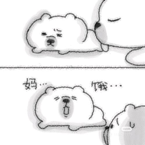 尿是膀胱的泪滴