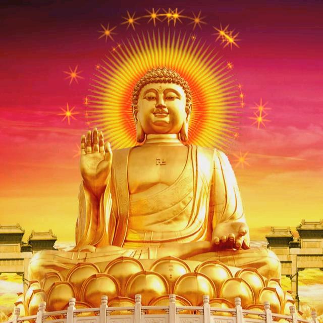 慈悲 放下 珍惜🙏