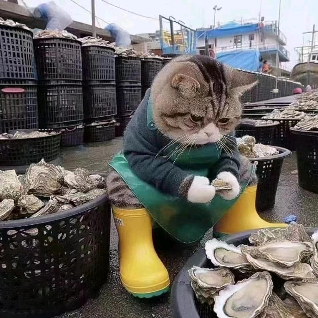 赶海挖笋看王婆有才花果园舞蹈热闹的熊猫