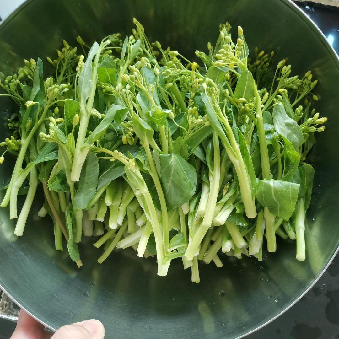 小太阳