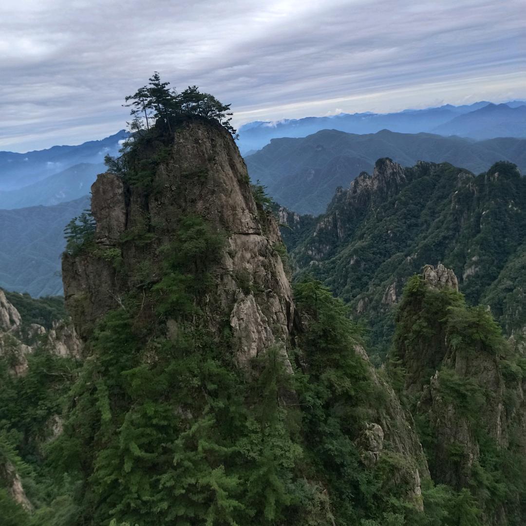 专业家装乳胶漆