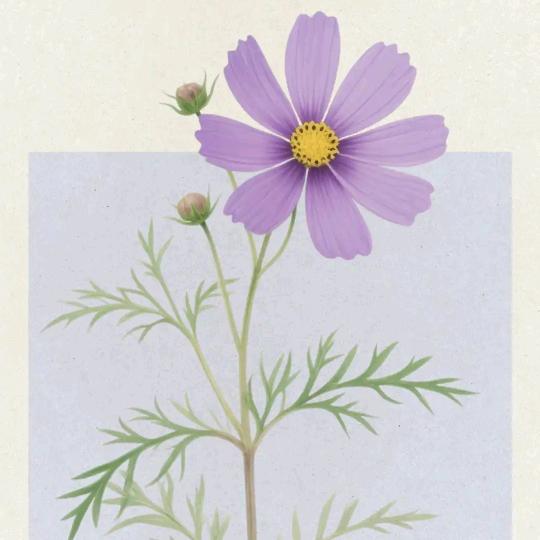 元小多私房馄饨（水饺）