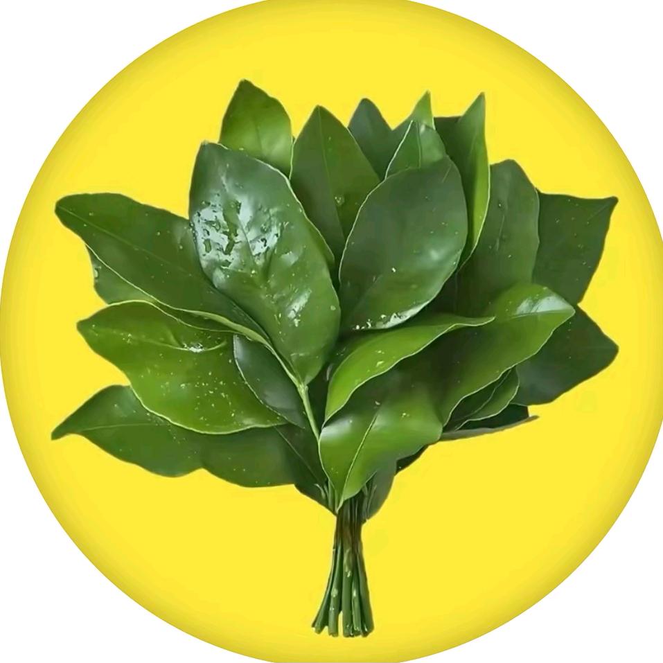 素心向暖