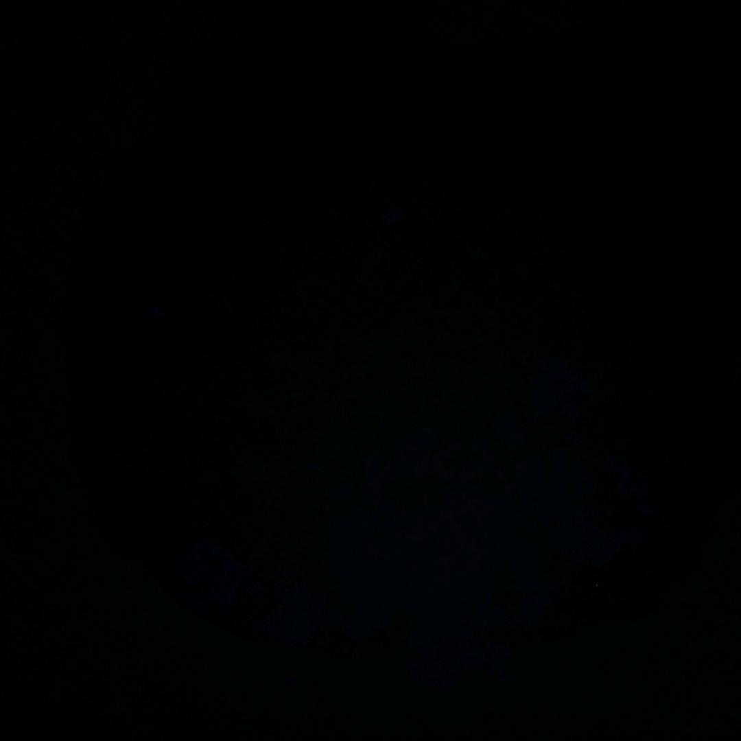 血红蛋白