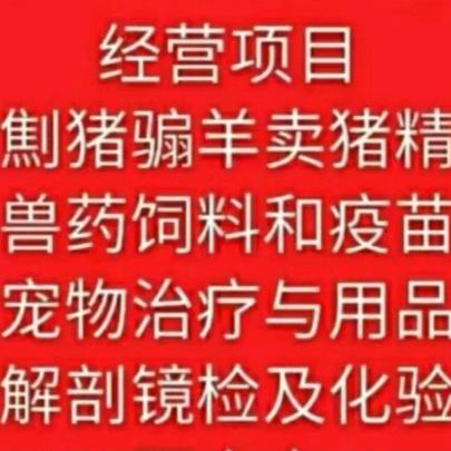 顾大夫兽医门诊十宠物用品