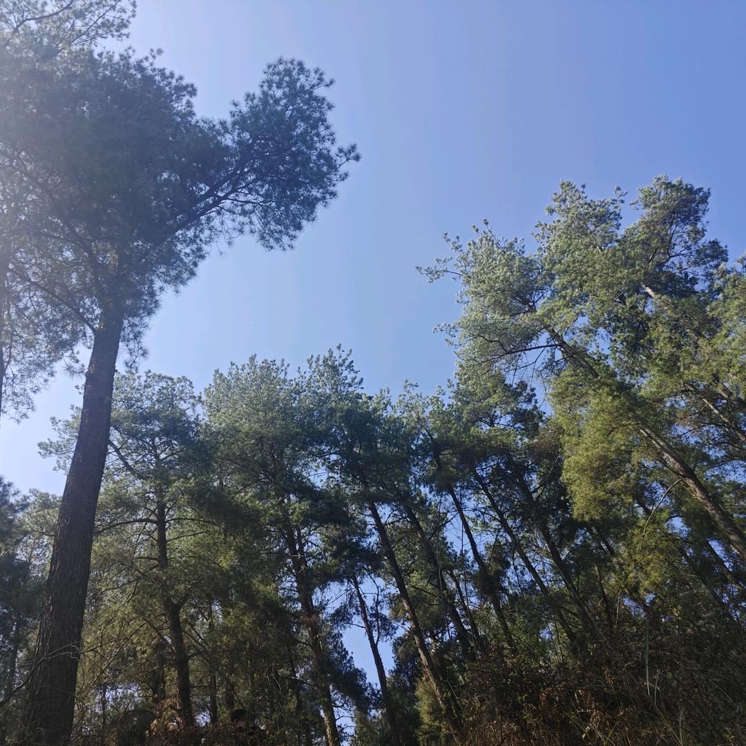 老伍的家电清洗日记