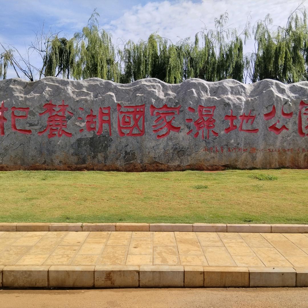 《海杨团》美丽月光