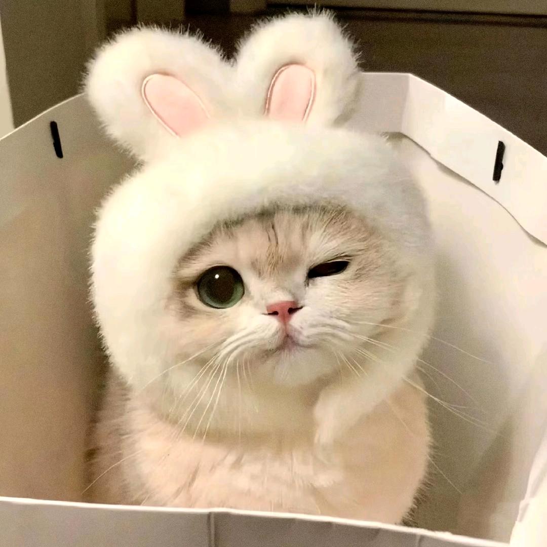 笙笙笙