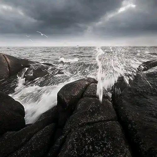 浪里看花