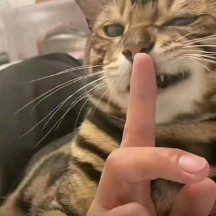 诗歌