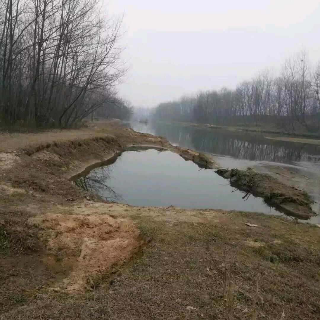 意中人