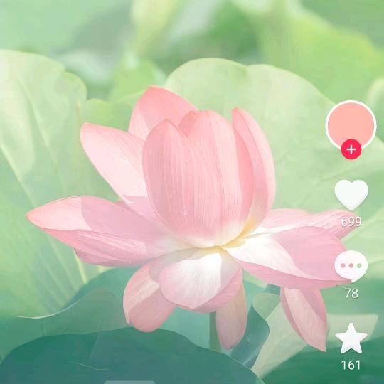 顺其自然。。