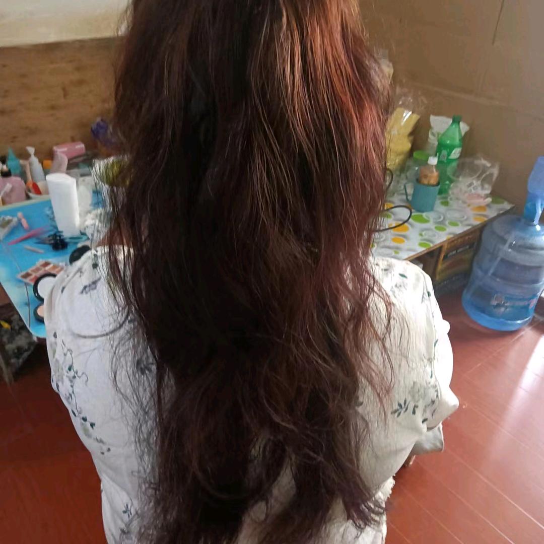 死了心的玫瑰