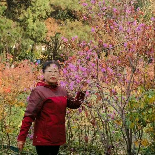 幸福人生