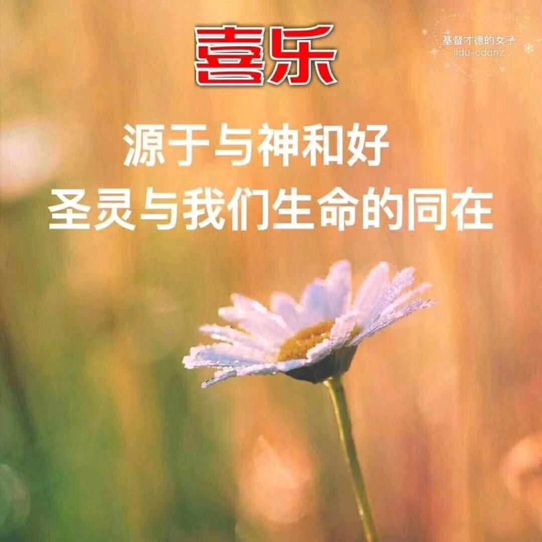 💖ღ余生᭄爱ღ自己᭄ꦿ꯭💖